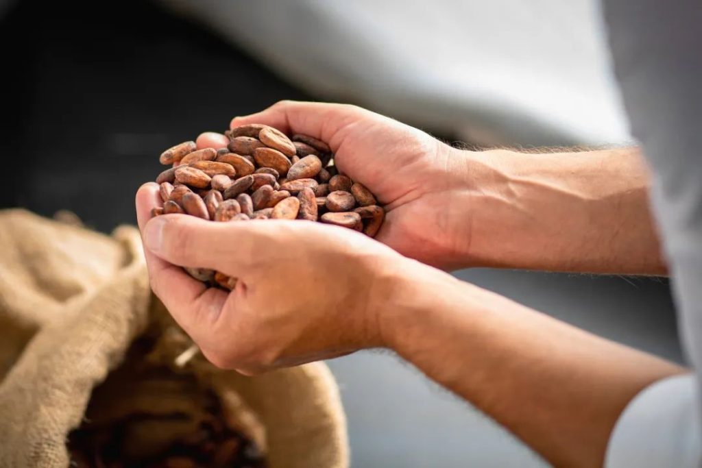 Handgemaakte chocolaatjes - Beste Valentijnsdagcadeaus 2022